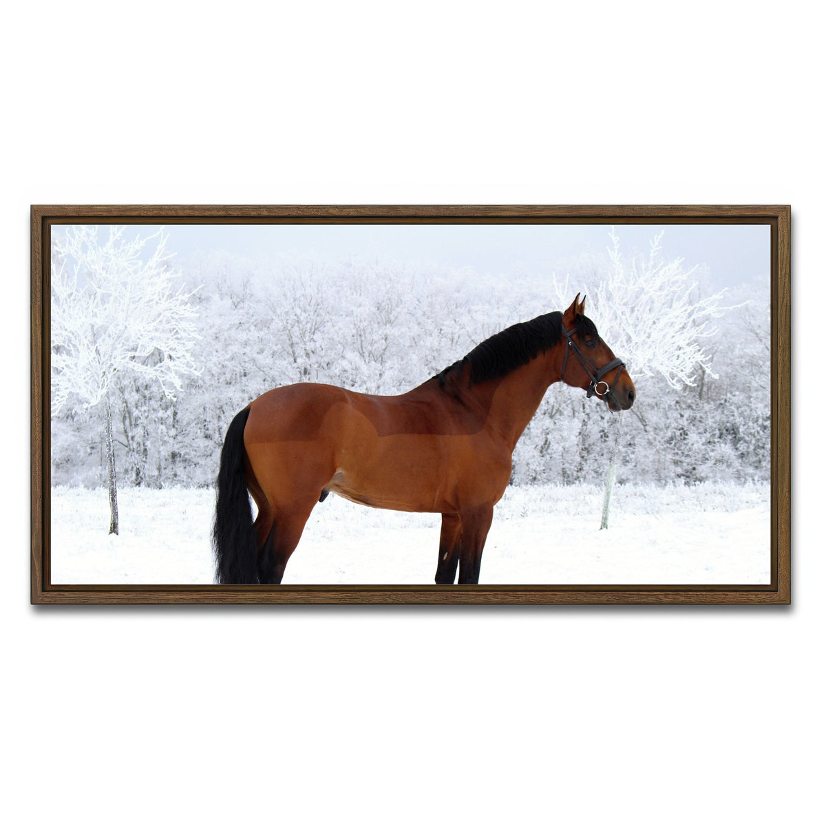 AUTO-MOCKUP WHITE | American Quarter Horse | 1 Piece | Walnut Framed Canvas | group=2x1