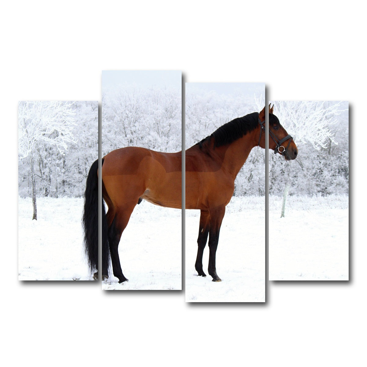 AUTO-MOCKUP WHITE | American Quarter Horse | 4 Piece | Gallery Wrap Canvas | group=4_normal