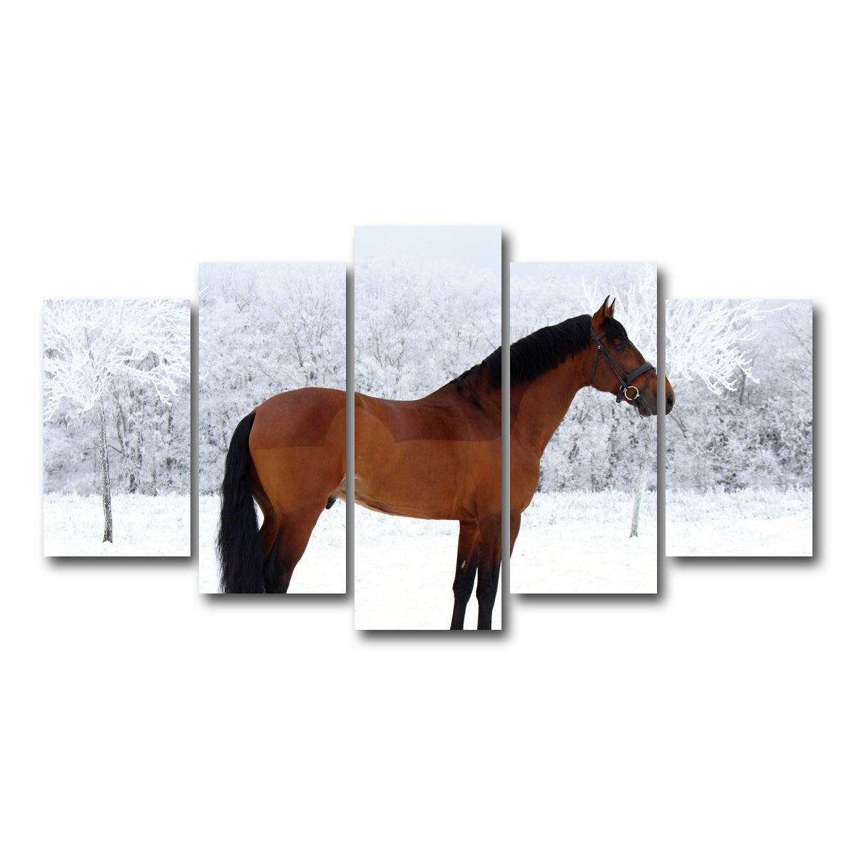 AUTO-MOCKUP WHITE | American Quarter Horse | 5 Piece | Gallery Wrap Canvas | group=5_normal