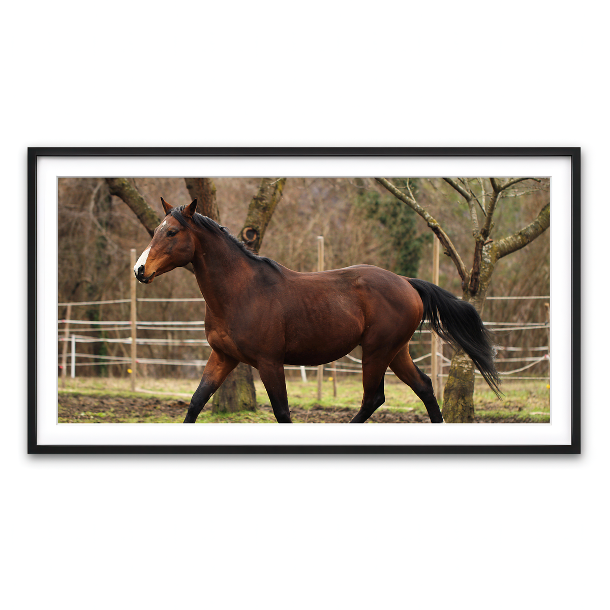 Framed Print 2x1 Black