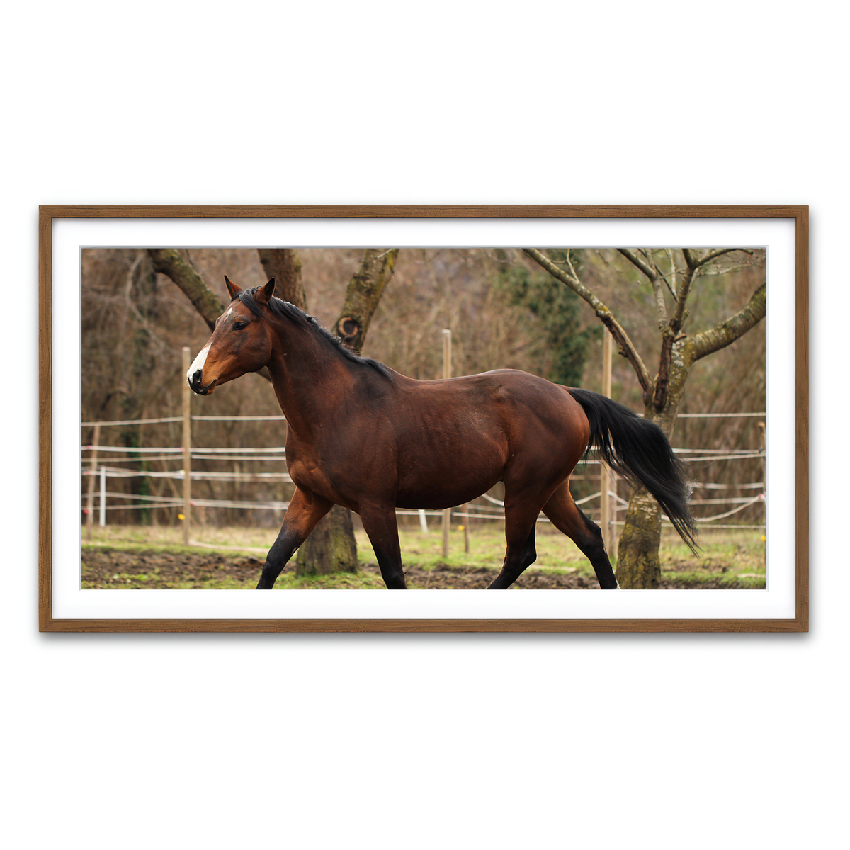 Framed Print 2x1 Walnut