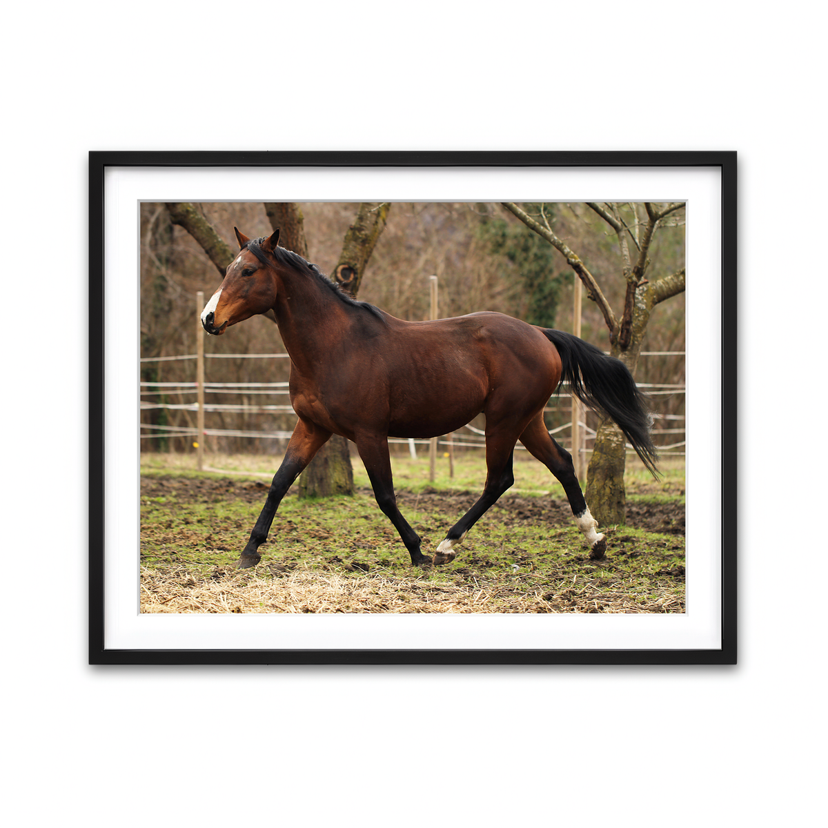 Framed Print 4x3 Black