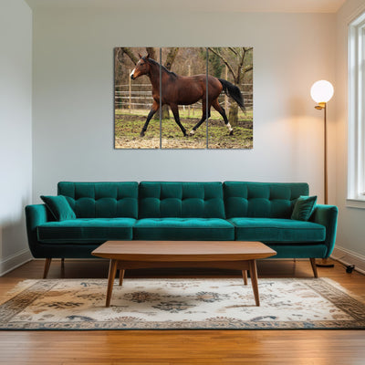 AUTO-MOCKUP ROOM | American quarter horse stallion