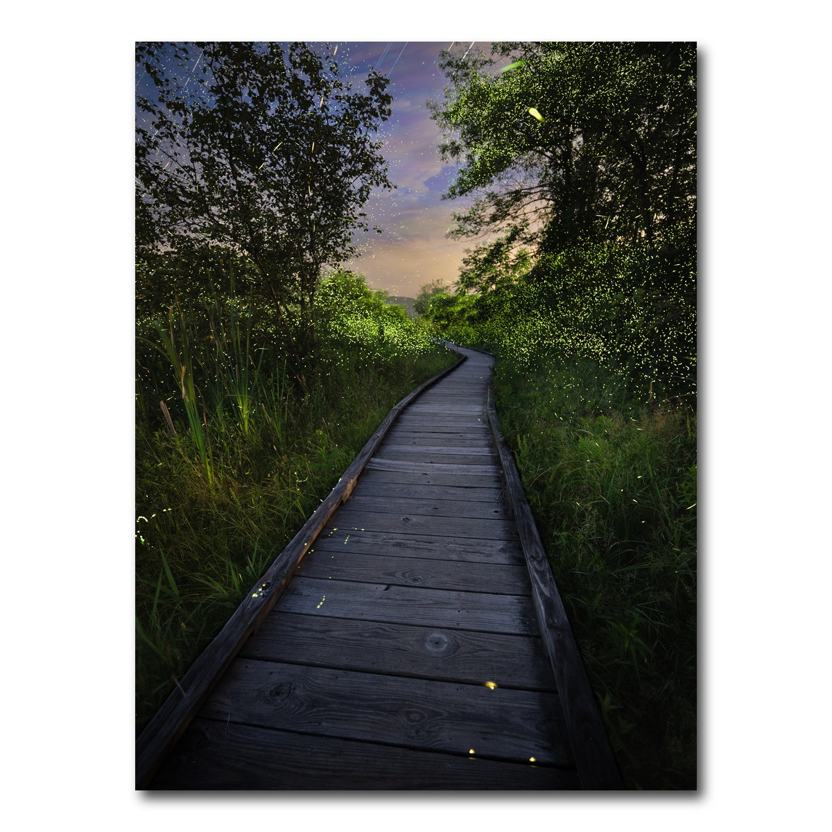 AUTO-MOCKUP WHITE | And the Fireflies WInk and Glow | 1 Piece | Gallery Wrap Canvas | group=3x4