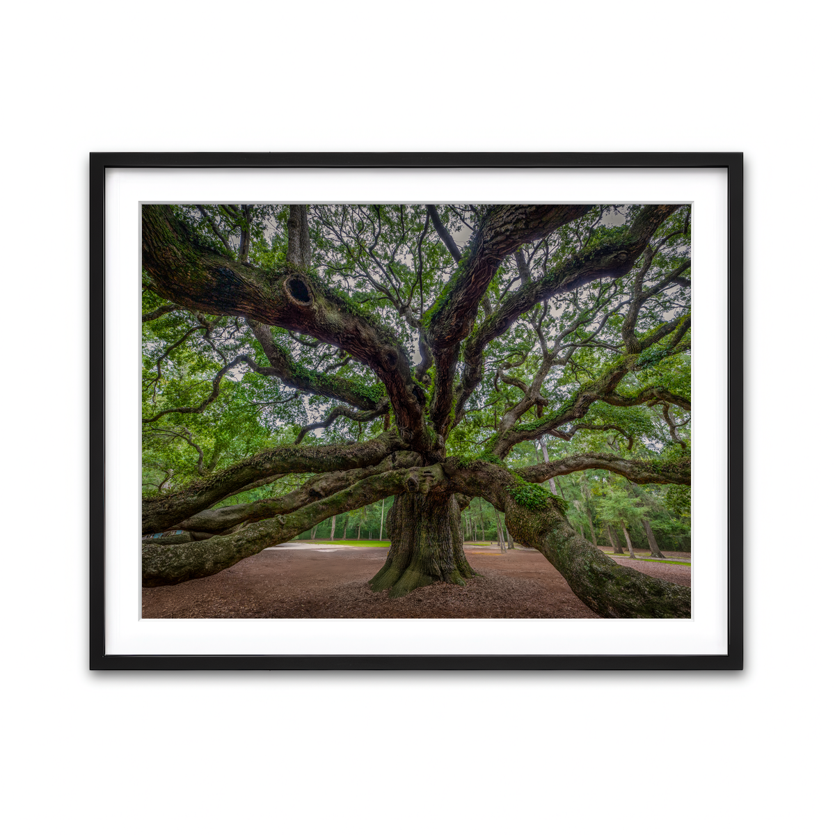 Framed Print 4x3 Black