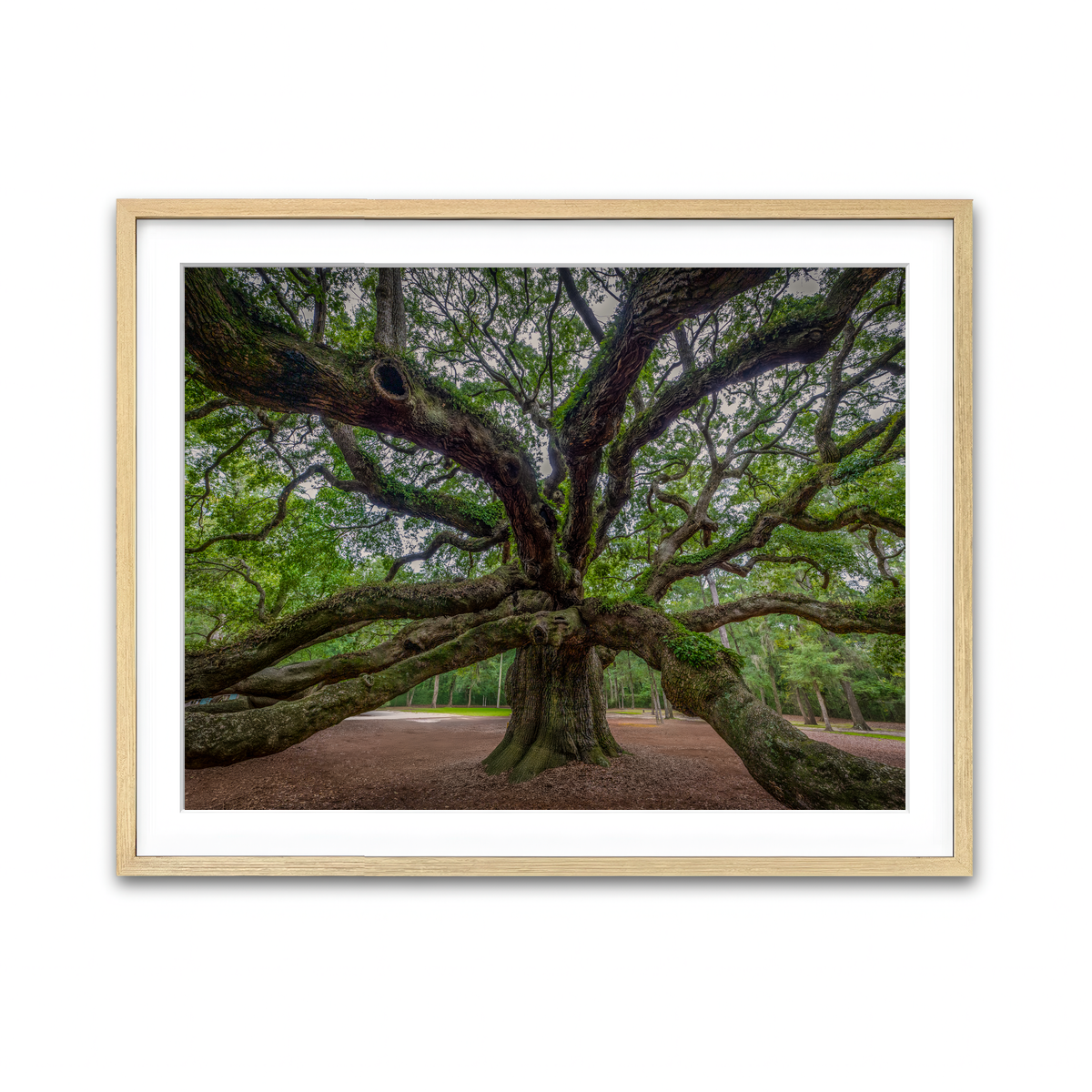 Framed Print 4x3 Natural
