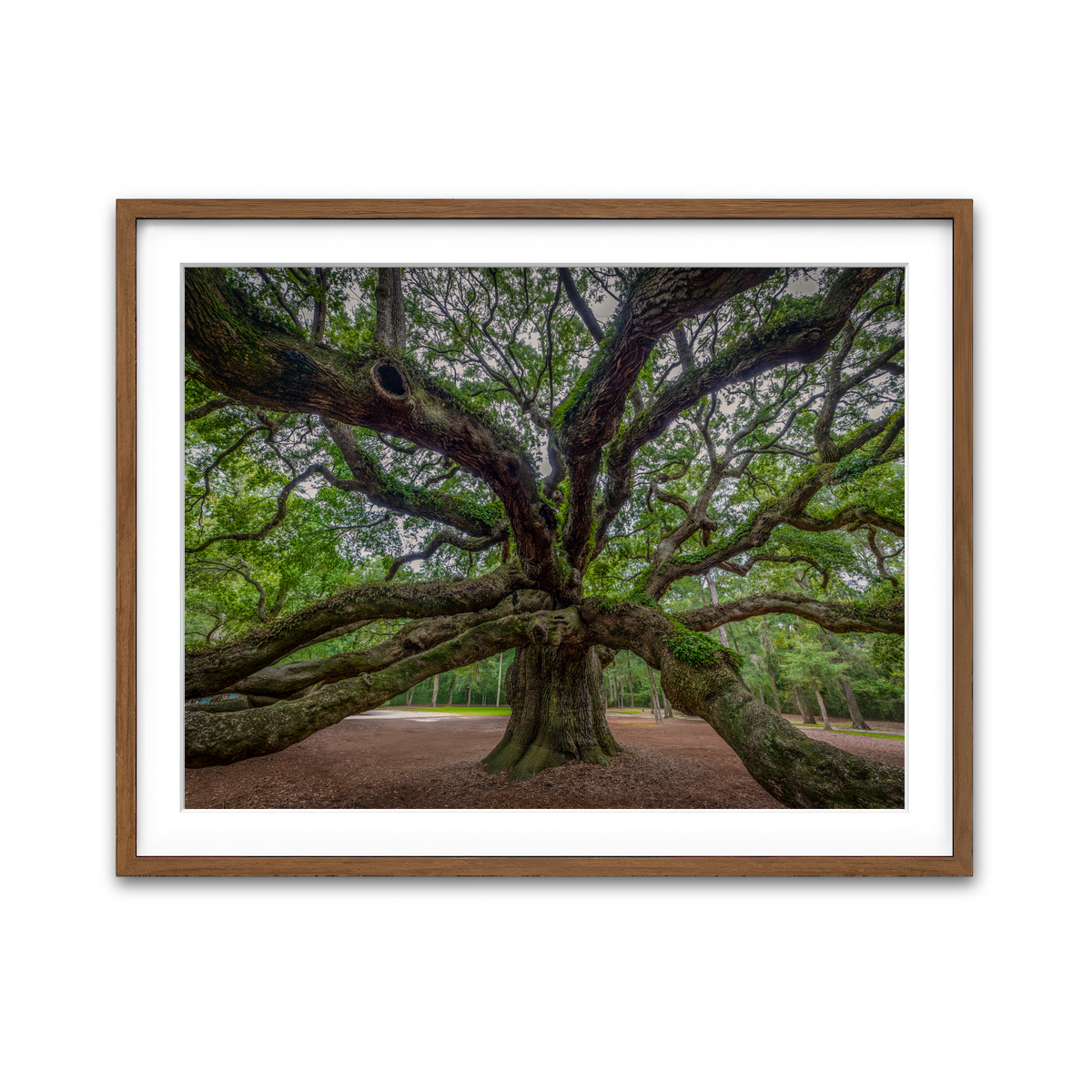 Framed Print 4x3 Walnut