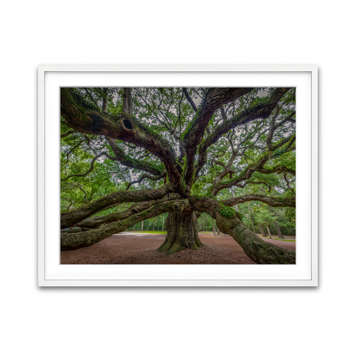 Framed Print 4x3 White