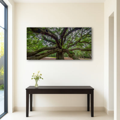AUTO-MOCKUP ROOM | Angel Oak