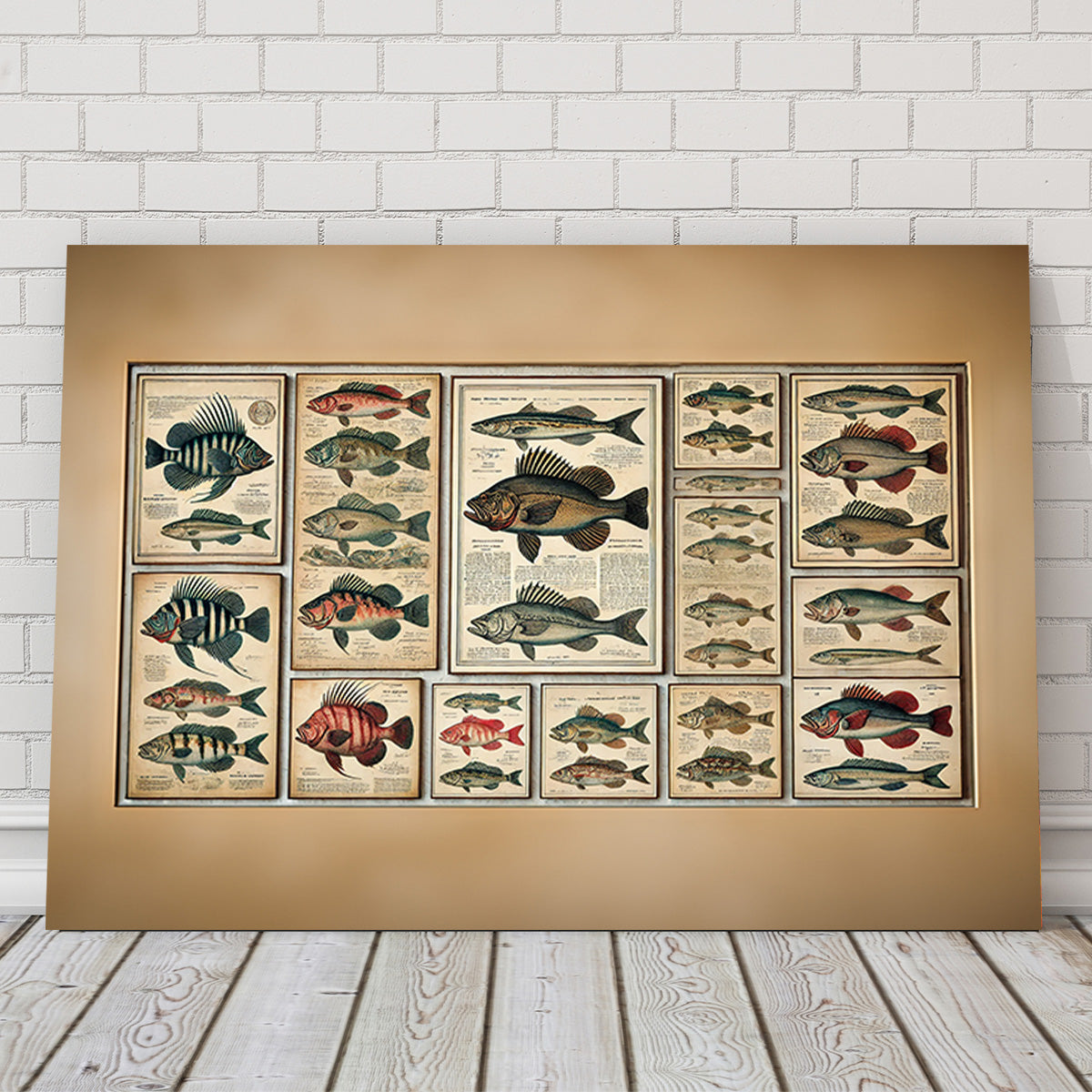 Antique fish illustrations Wall Art