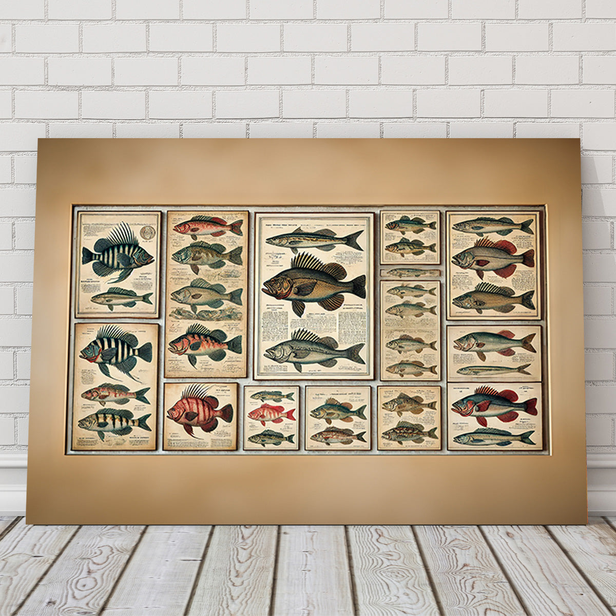 Antique fish illustrations