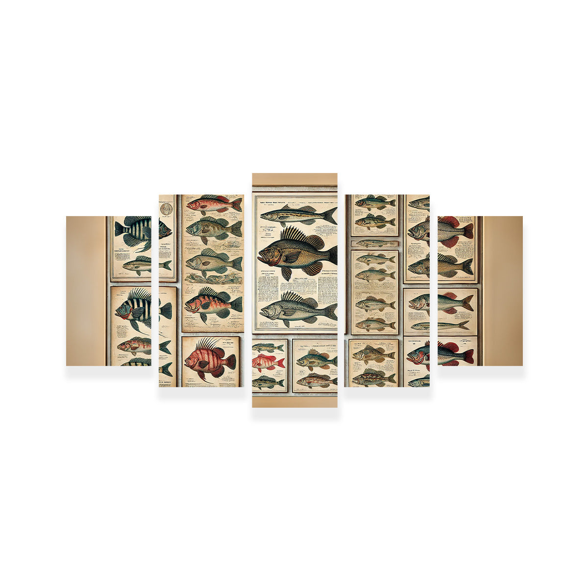 Antique fish illustrations Wall Art