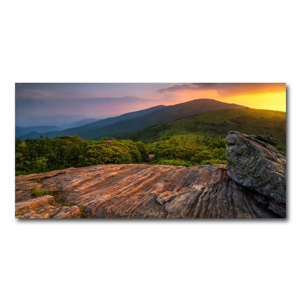 AUTO-MOCKUP WHITE | Appalachian Trail Roan Mountain state Park | 1 Piece | Gallery Wrap Canvas | group=2x1