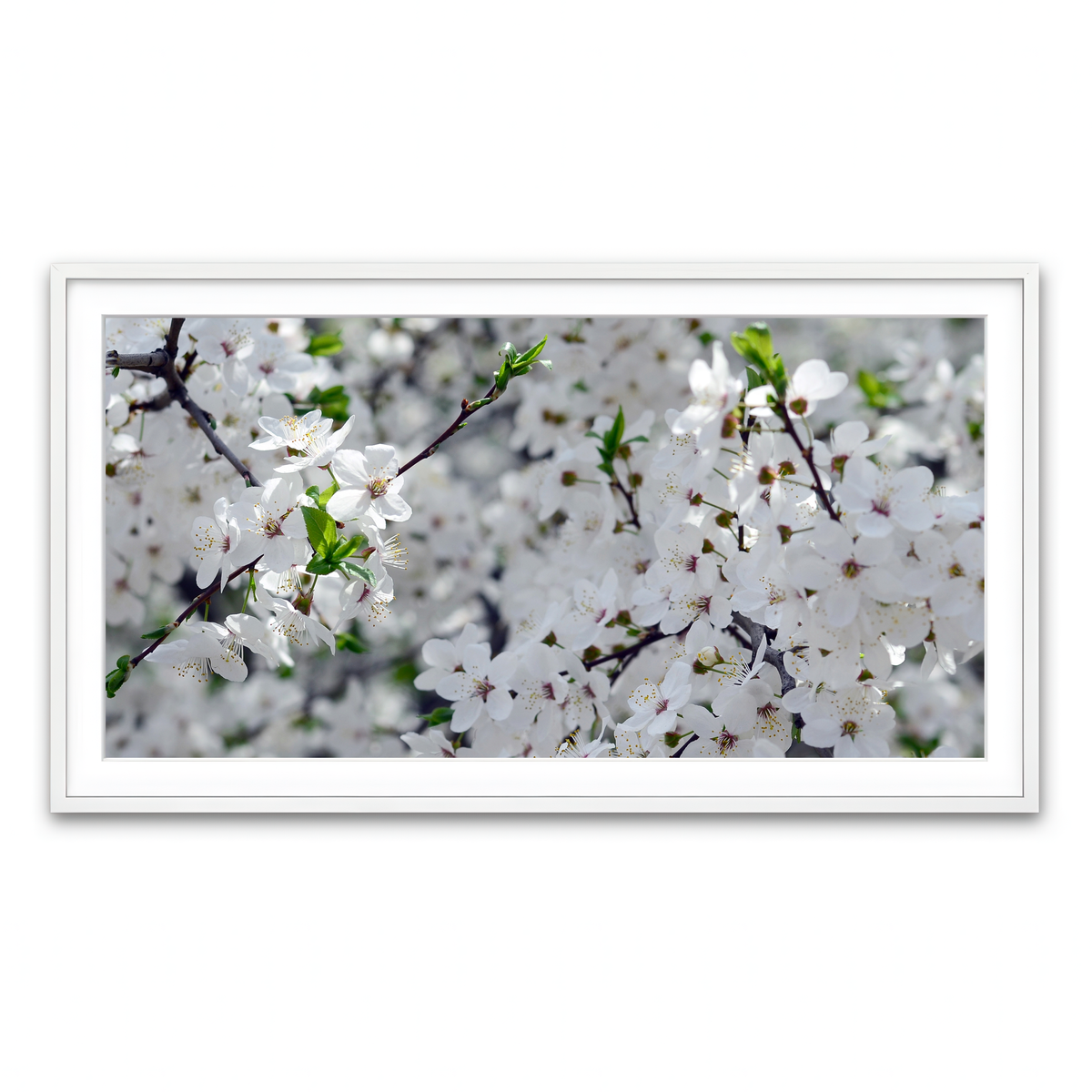 Framed Print 2x1 White