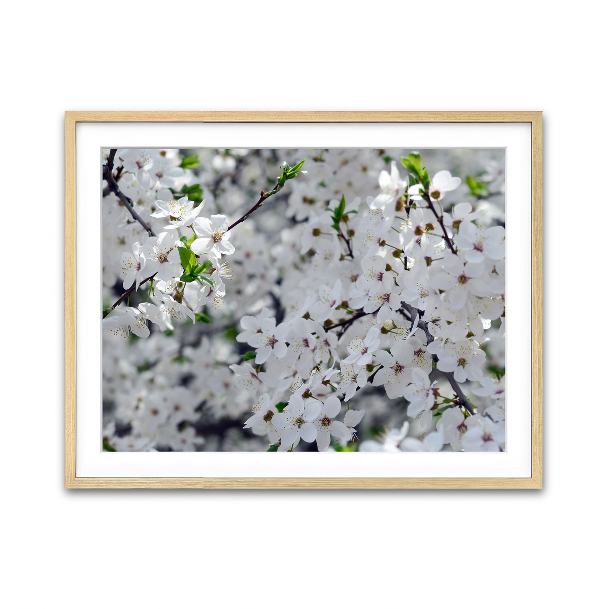 Framed Print 4x3 Natural