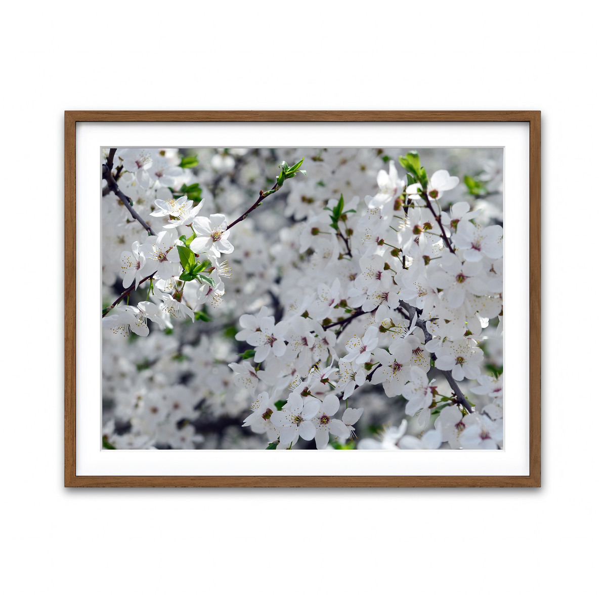 Framed Print 4x3 Walnut