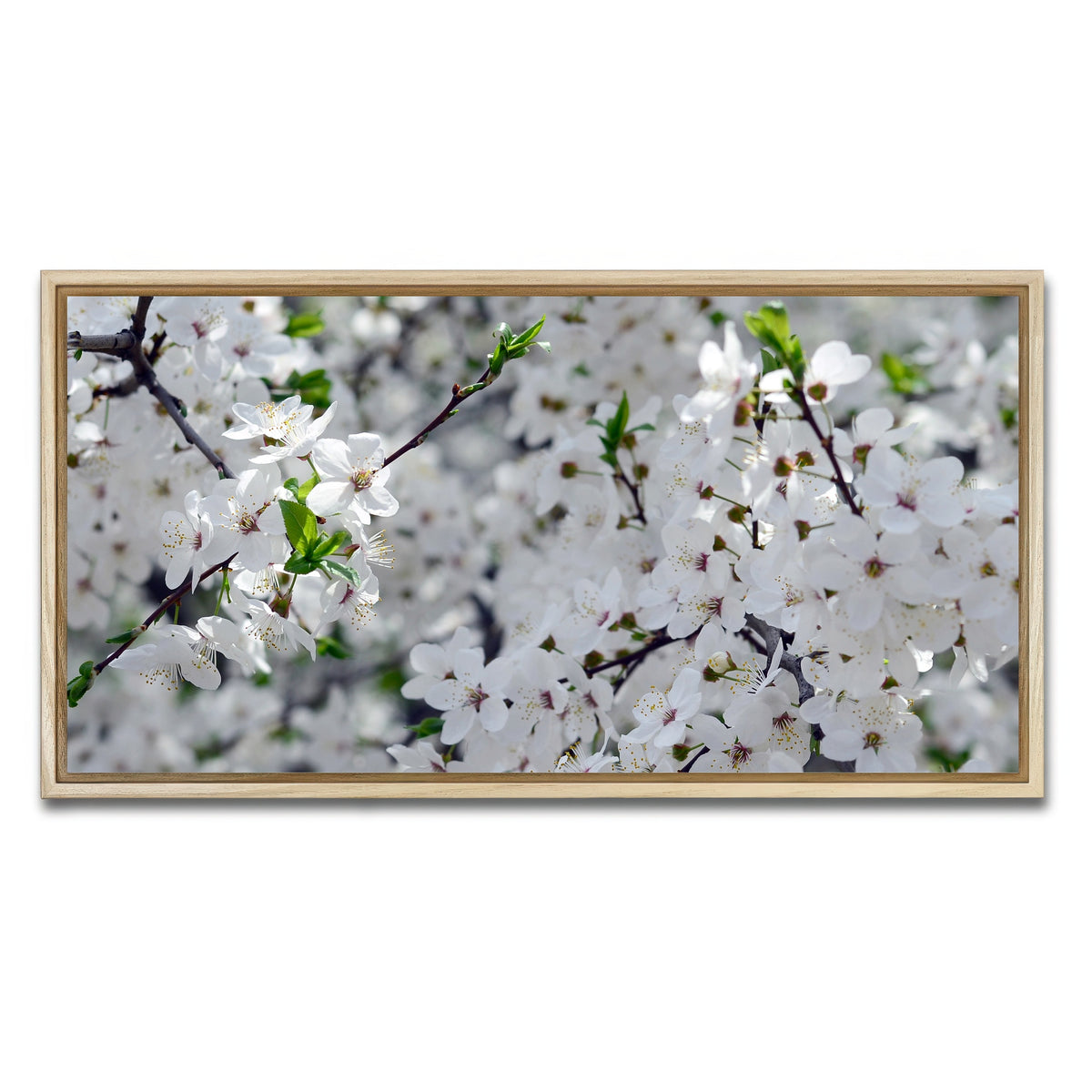 AUTO-MOCKUP WHITE | Apple Tree Blossoms | 1 Piece | Natural Framed Canvas | group=2x1