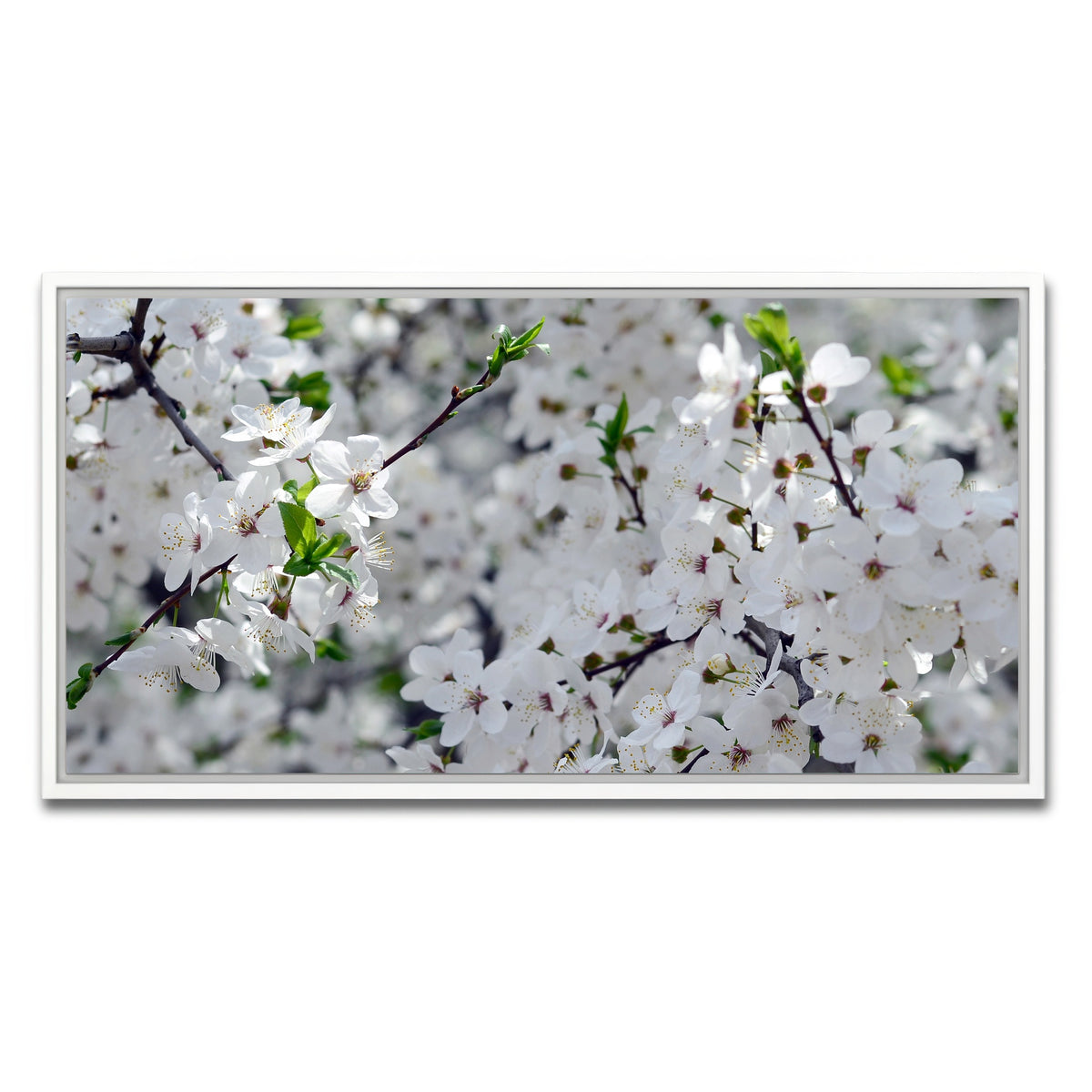 AUTO-MOCKUP WHITE | Apple Tree Blossoms | 1 Piece | White Framed Canvas | group=2x1