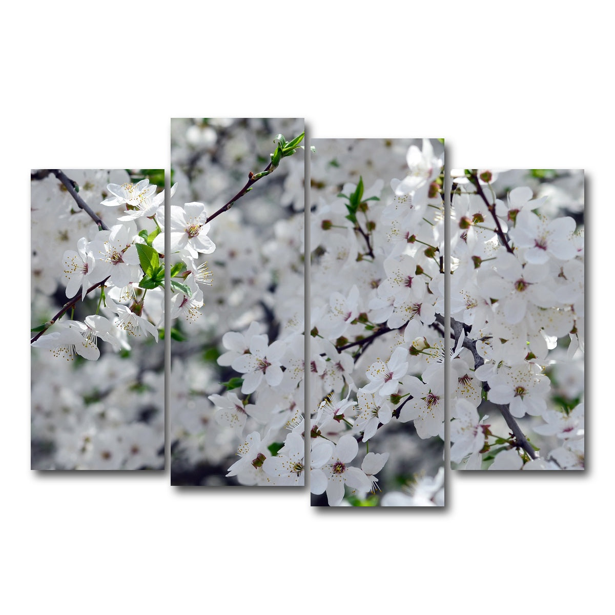 AUTO-MOCKUP WHITE | Apple Tree Blossoms | 4 Piece | Gallery Wrap Canvas | group=4_normal