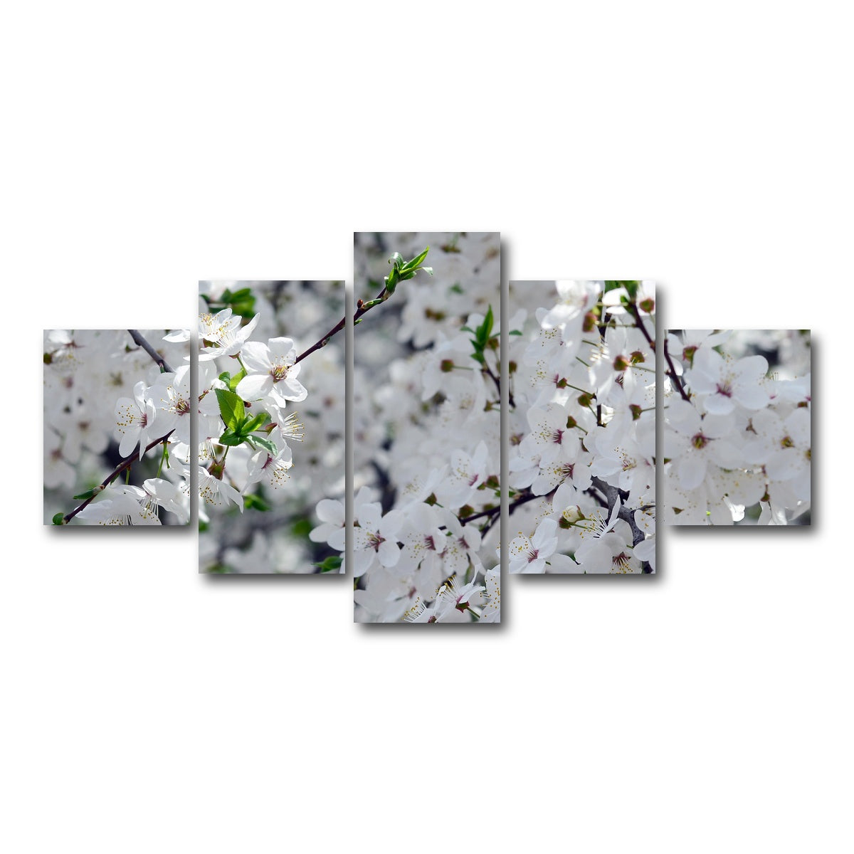 AUTO-MOCKUP WHITE | Apple Tree Blossoms | 5 Piece | Gallery Wrap Canvas | group=5_short