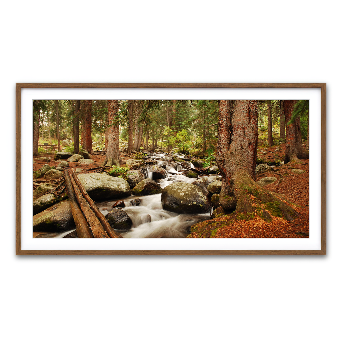 Framed Print 2x1 Walnut