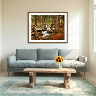 AUTO-MOCKUP ROOM | Arapaho National Forest Mountain Stream Wall Art