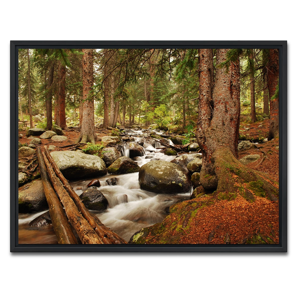 AUTO-MOCKUP WHITE | Arapaho National Forest Mountain Stream | 1 Piece | Black Framed Canvas | group=4x3