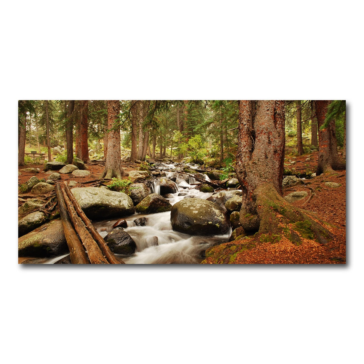 AUTO-MOCKUP WHITE | Arapaho National Forest Mountain Stream | 1 Piece | Gallery Wrap Canvas | group=2x1
