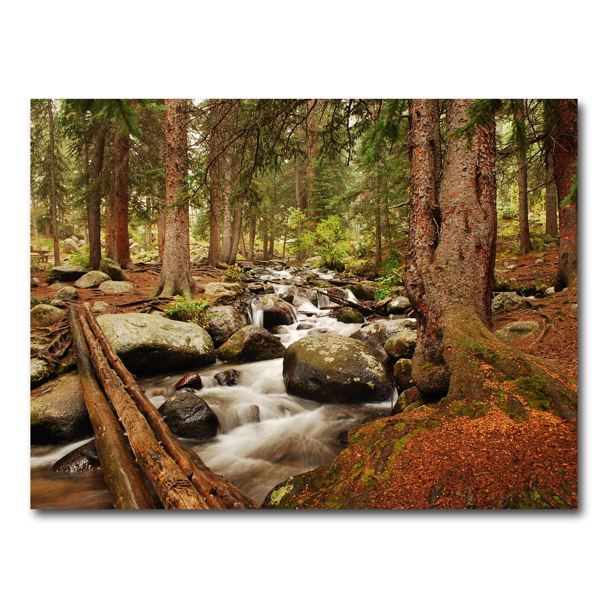 AUTO-MOCKUP WHITE | Arapaho National Forest Mountain Stream | 1 Piece | Gallery Wrap Canvas | group=4x3