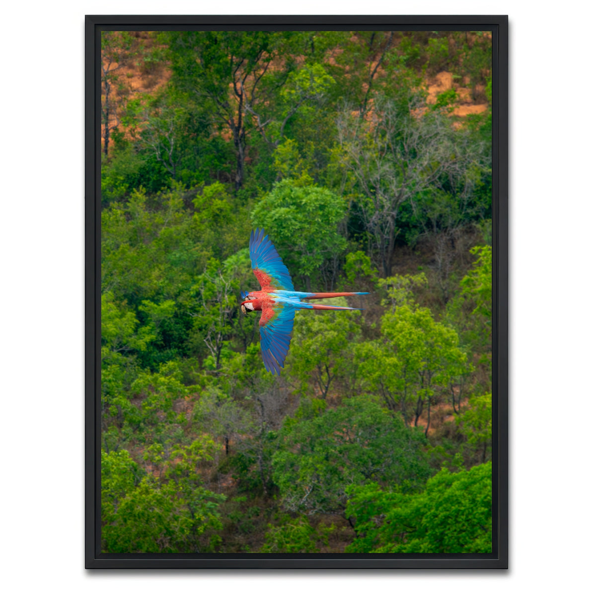 AUTO-MOCKUP WHITE | Arara | 1 Piece | Black Framed Canvas | group=3x4