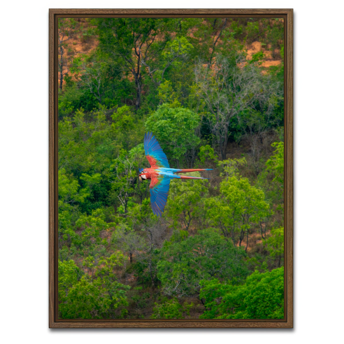 AUTO-MOCKUP WHITE | Arara | 1 Piece | Walnut Framed Canvas | group=3x4