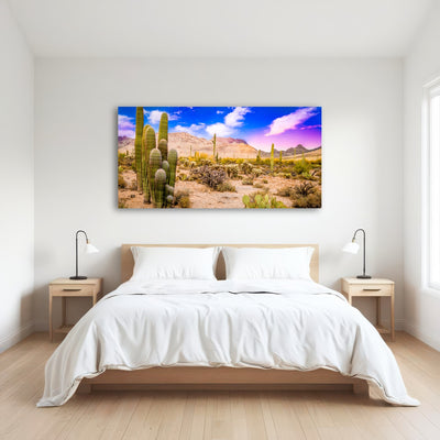 AUTO-MOCKUP ROOM | Arizona Desert Springtime