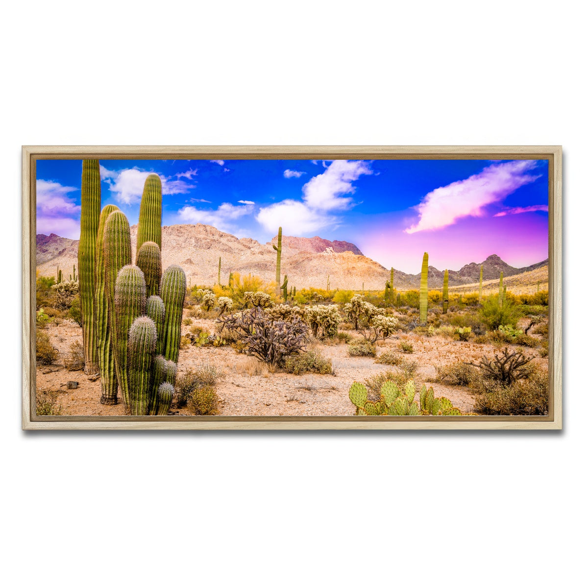 AUTO-MOCKUP WHITE | Arizona Desert Springtime | 1 Piece | Natural Framed Canvas | group=2x1