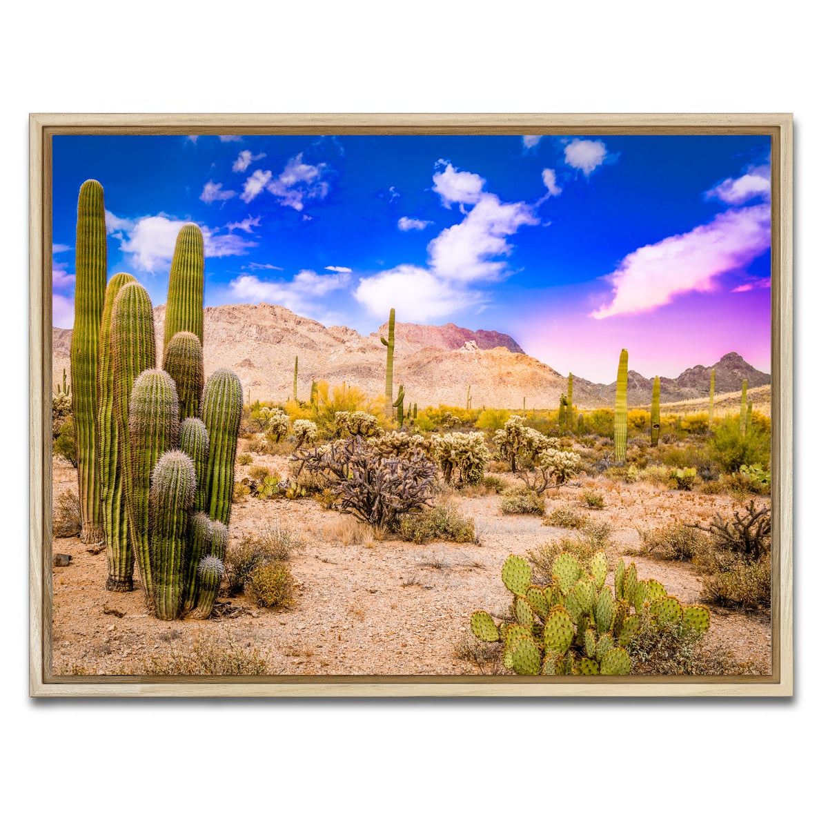 AUTO-MOCKUP WHITE | Arizona Desert Springtime | 1 Piece | Natural Framed Canvas | group=4x3