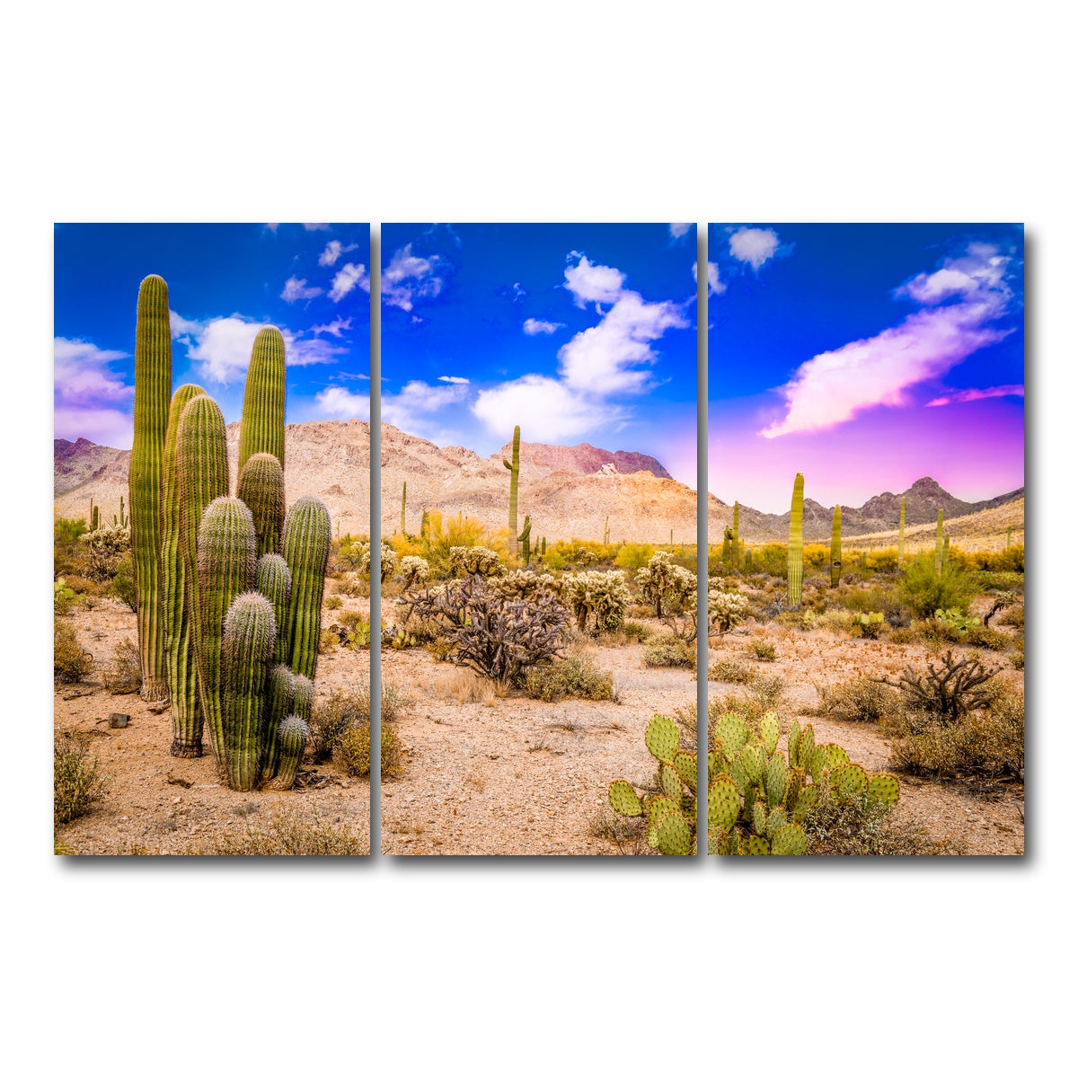 AUTO-MOCKUP WHITE | Arizona Desert Springtime | 3 Piece | Gallery Wrap Canvas | group=12x24