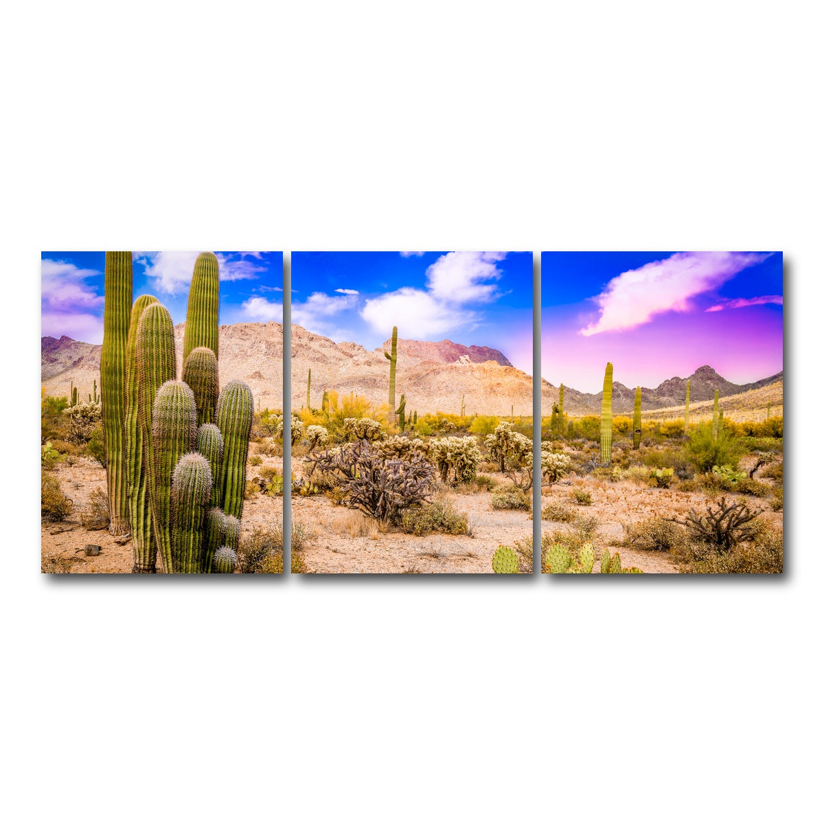 AUTO-MOCKUP WHITE | Arizona Desert Springtime | 3 Piece | Gallery Wrap Canvas | group=18x24