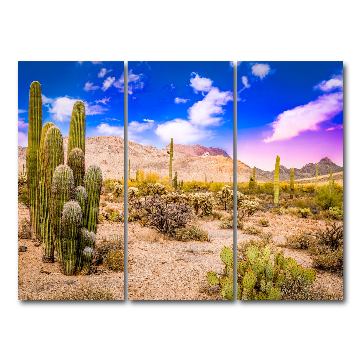 AUTO-MOCKUP WHITE | Arizona Desert Springtime | 3 Piece | Gallery Wrap Canvas | group=8x18