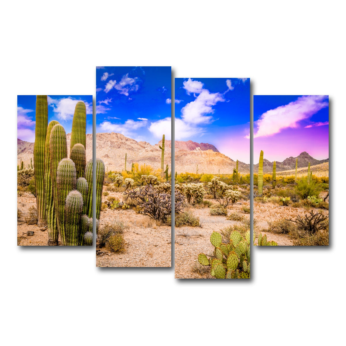 AUTO-MOCKUP WHITE | Arizona Desert Springtime | 4 Piece | Gallery Wrap Canvas | group=4_short