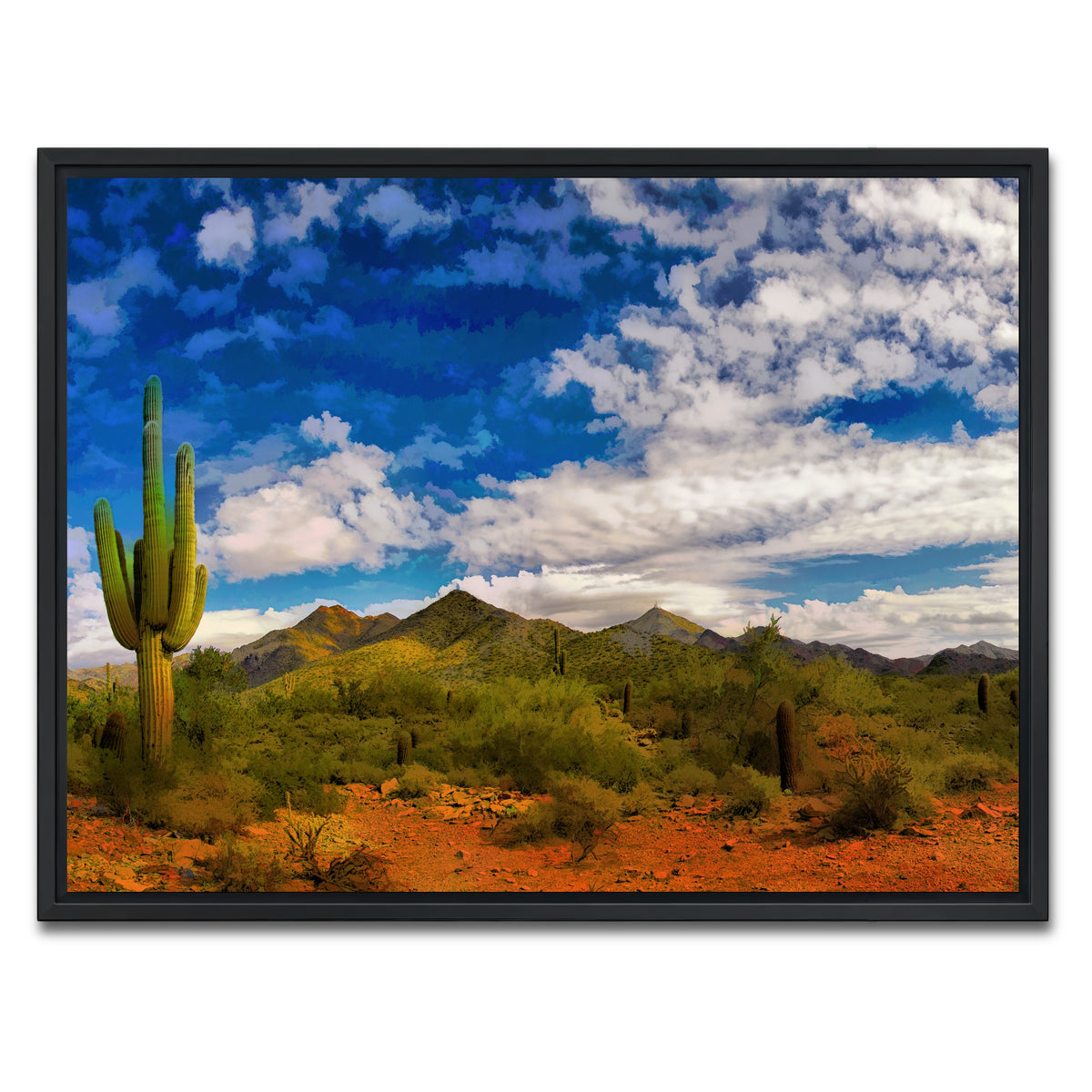 AUTO-MOCKUP WHITE | Arizona Desert | 1 Piece | Black Framed Canvas | group=4x3