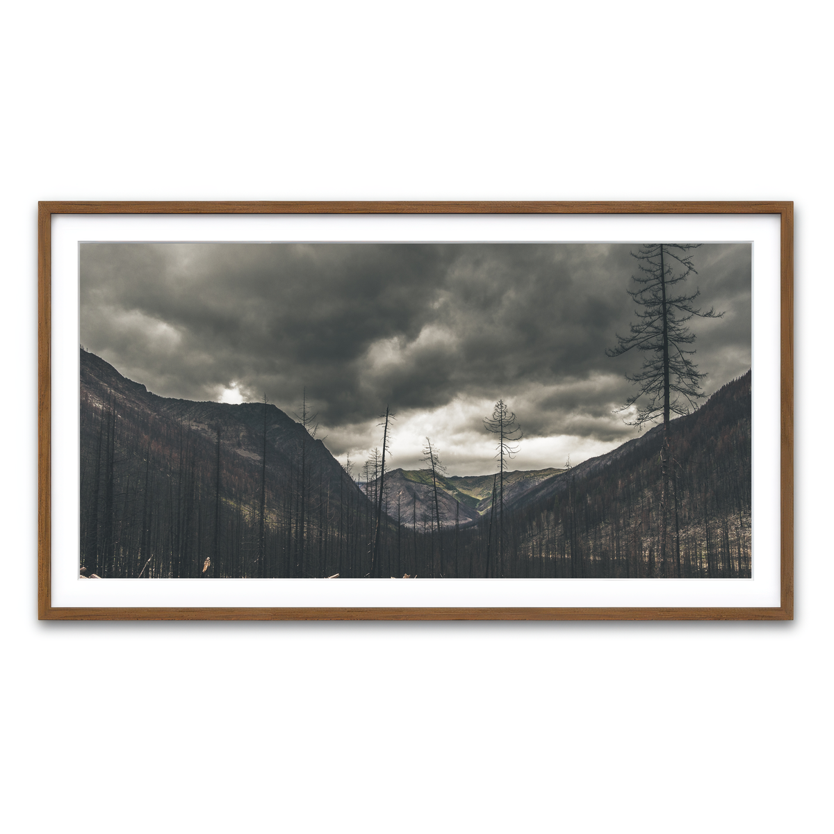 Framed Print 2x1 Walnut