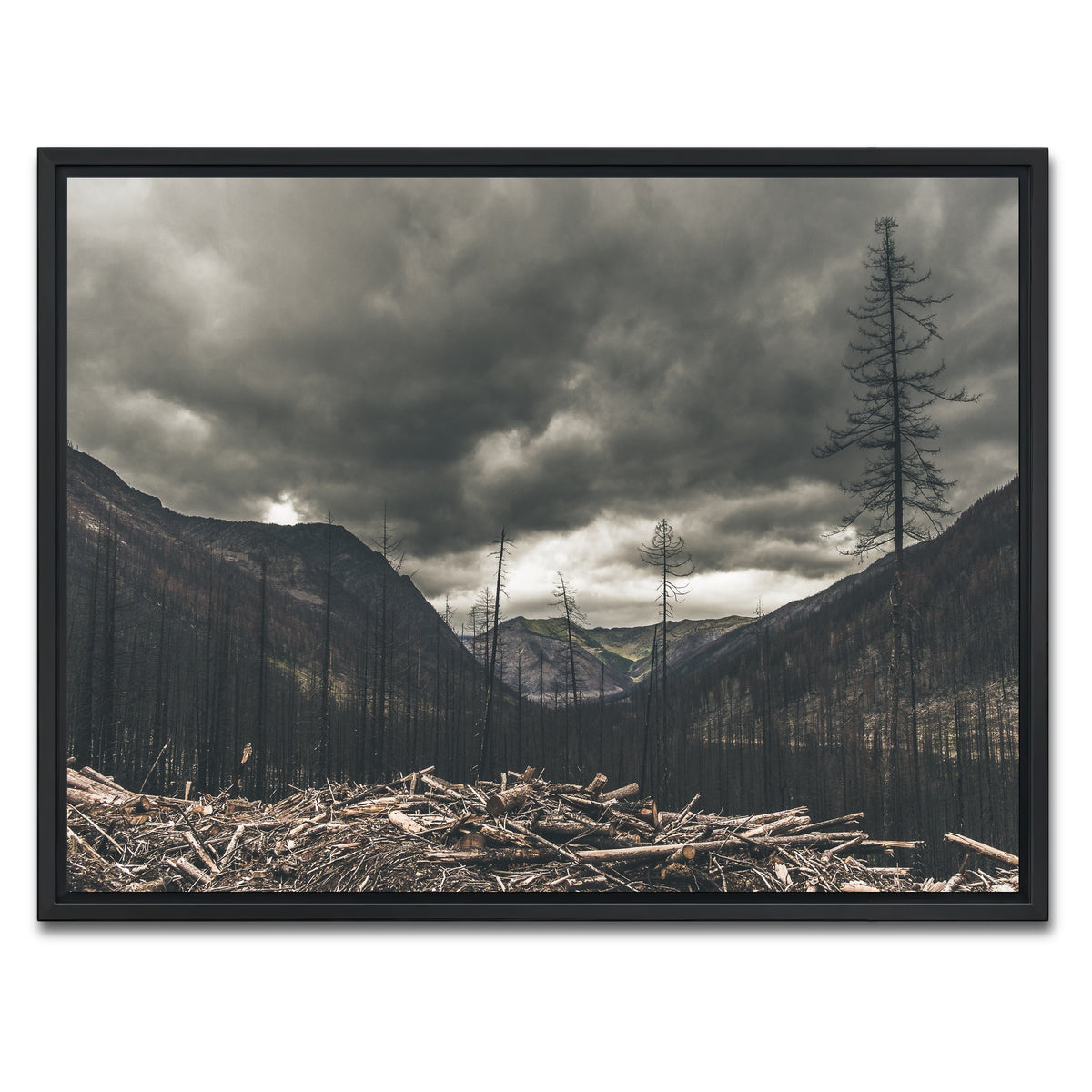 AUTO-MOCKUP WHITE | Ash and Clouds | 1 Piece | Black Framed Canvas | group=4x3