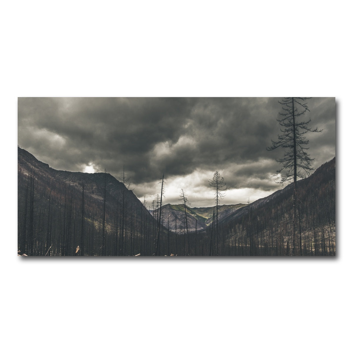 AUTO-MOCKUP WHITE | Ash and Clouds | 1 Piece | Gallery Wrap Canvas | group=2x1