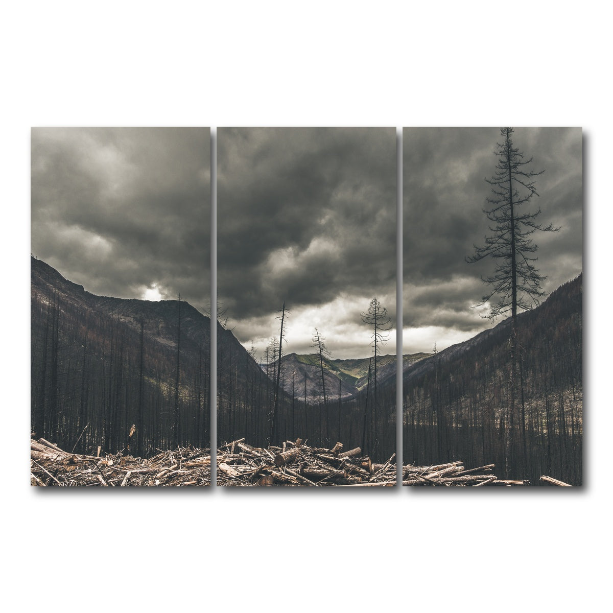 AUTO-MOCKUP WHITE | Ash and Clouds | 3 Piece | Gallery Wrap Canvas | group=12x24