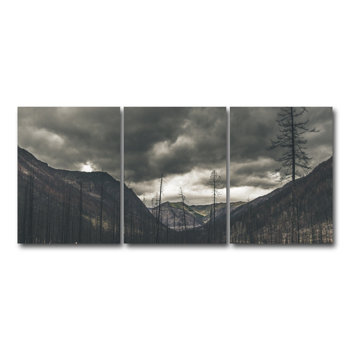 AUTO-MOCKUP WHITE | Ash and Clouds | 3 Piece | Gallery Wrap Canvas | group=18x24