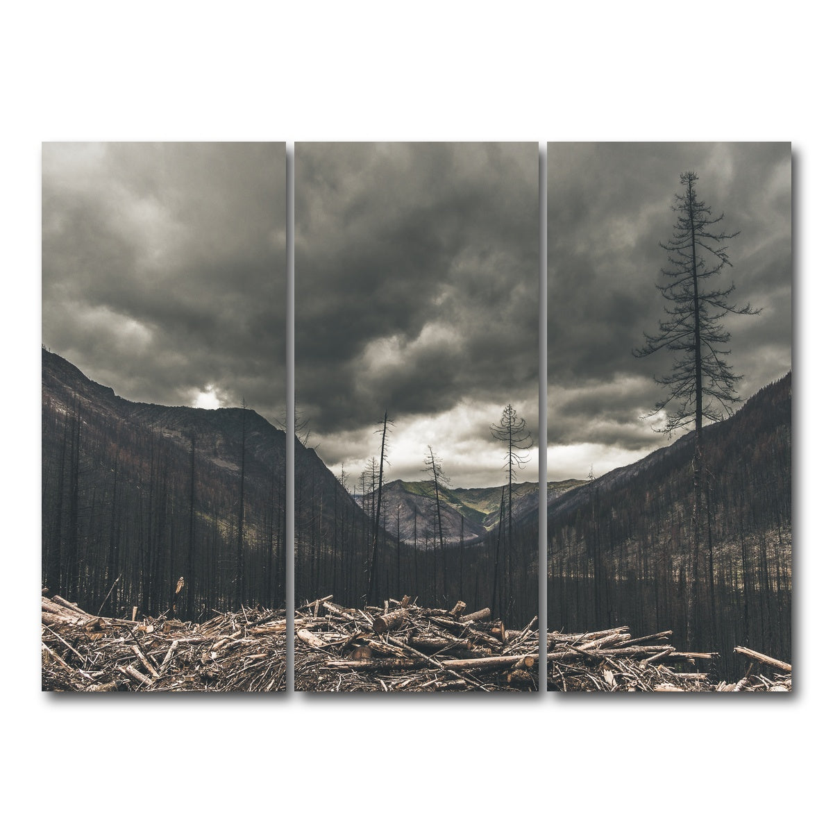AUTO-MOCKUP WHITE | Ash and Clouds | 3 Piece | Gallery Wrap Canvas | group=8x18