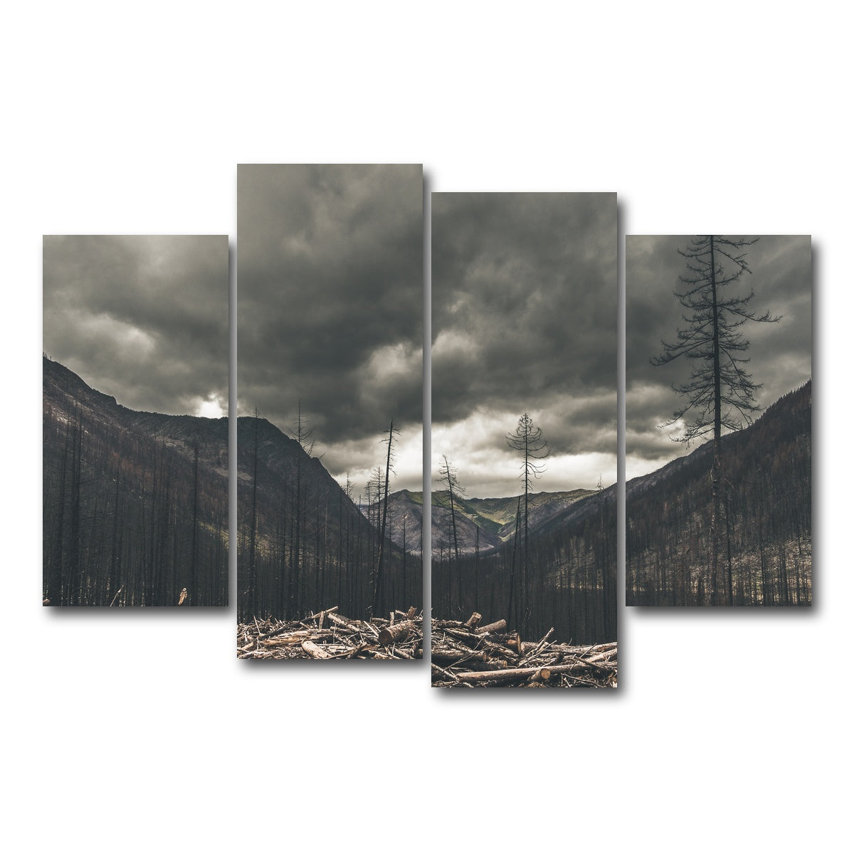 AUTO-MOCKUP WHITE | Ash and Clouds | 4 Piece | Gallery Wrap Canvas | group=4_short