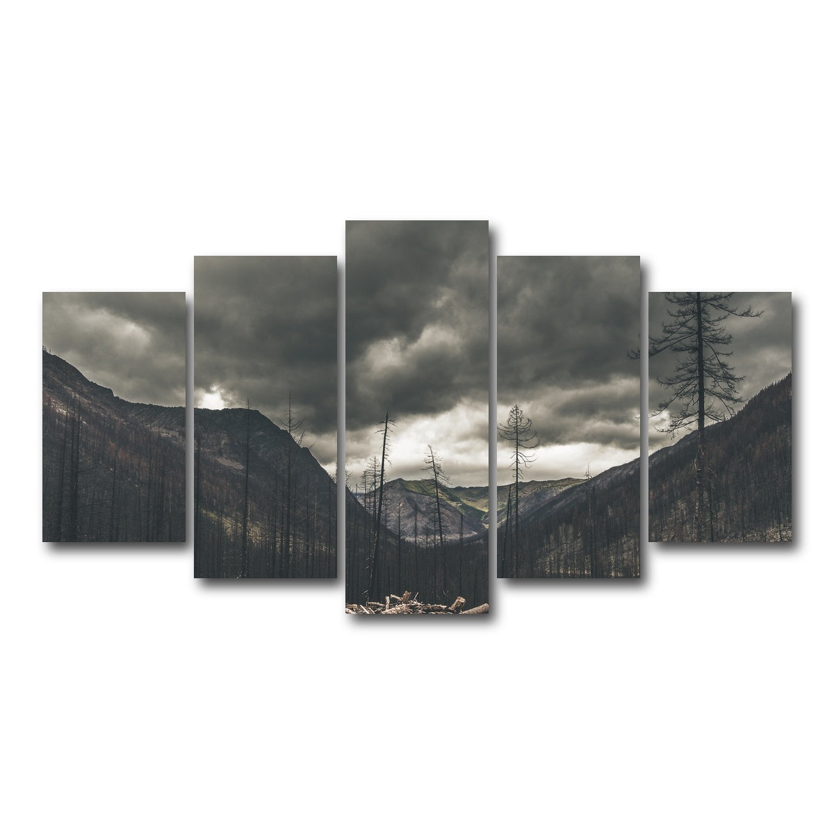 AUTO-MOCKUP WHITE | Ash and Clouds | 5 Piece | Gallery Wrap Canvas | group=5_normal