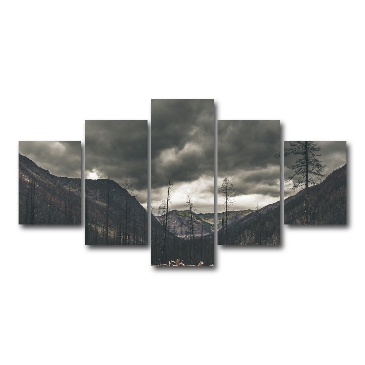 AUTO-MOCKUP WHITE | Ash and Clouds | 5 Piece | Gallery Wrap Canvas | group=5_short
