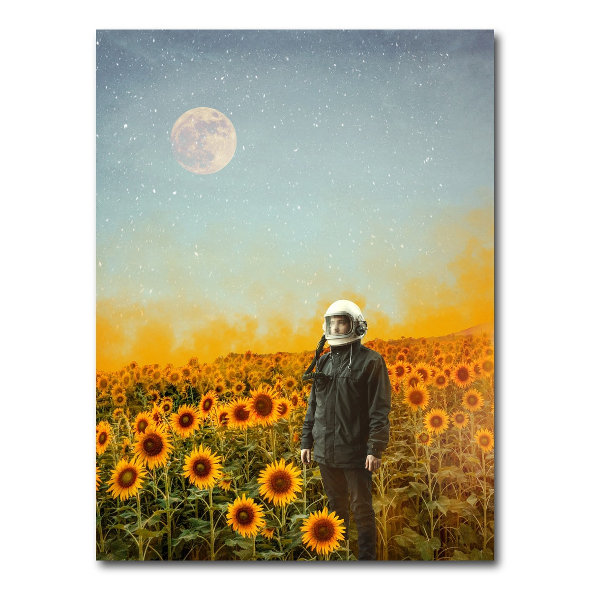 AUTO-MOCKUP WHITE | Astro Garden | 1 Piece | Gallery Wrap Canvas | group=3x4