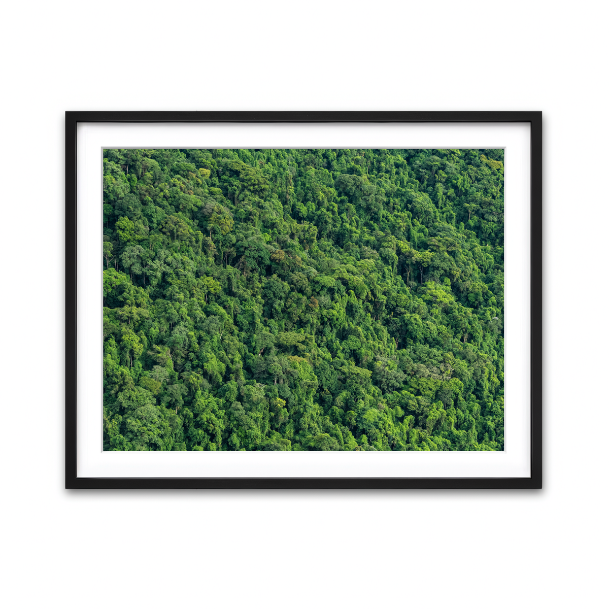 Framed Print 4x3 Black